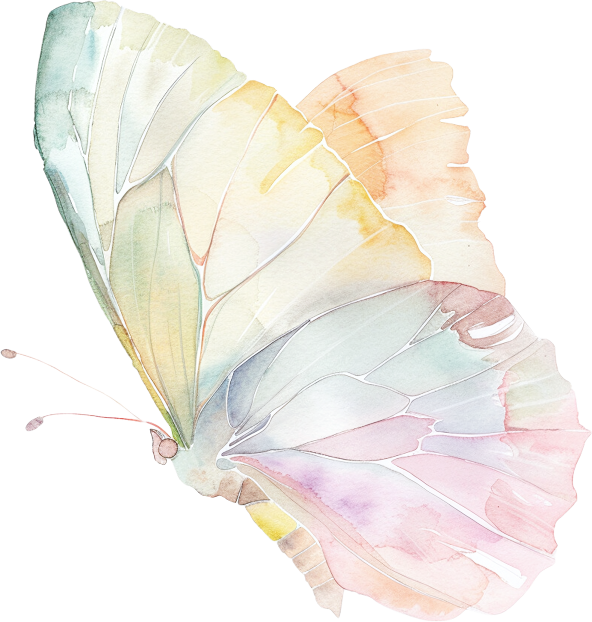 Bügelbild pastell Schmetterling 2