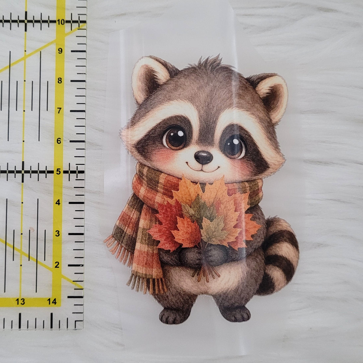 Bügelbild Waschbär